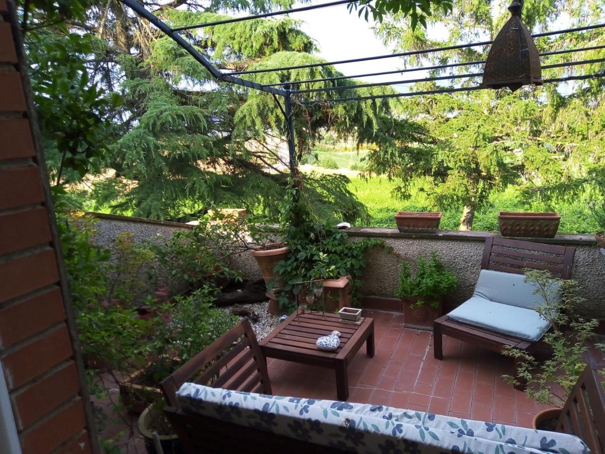 B&B La Gallinella Rossa Baschi Esterno foto