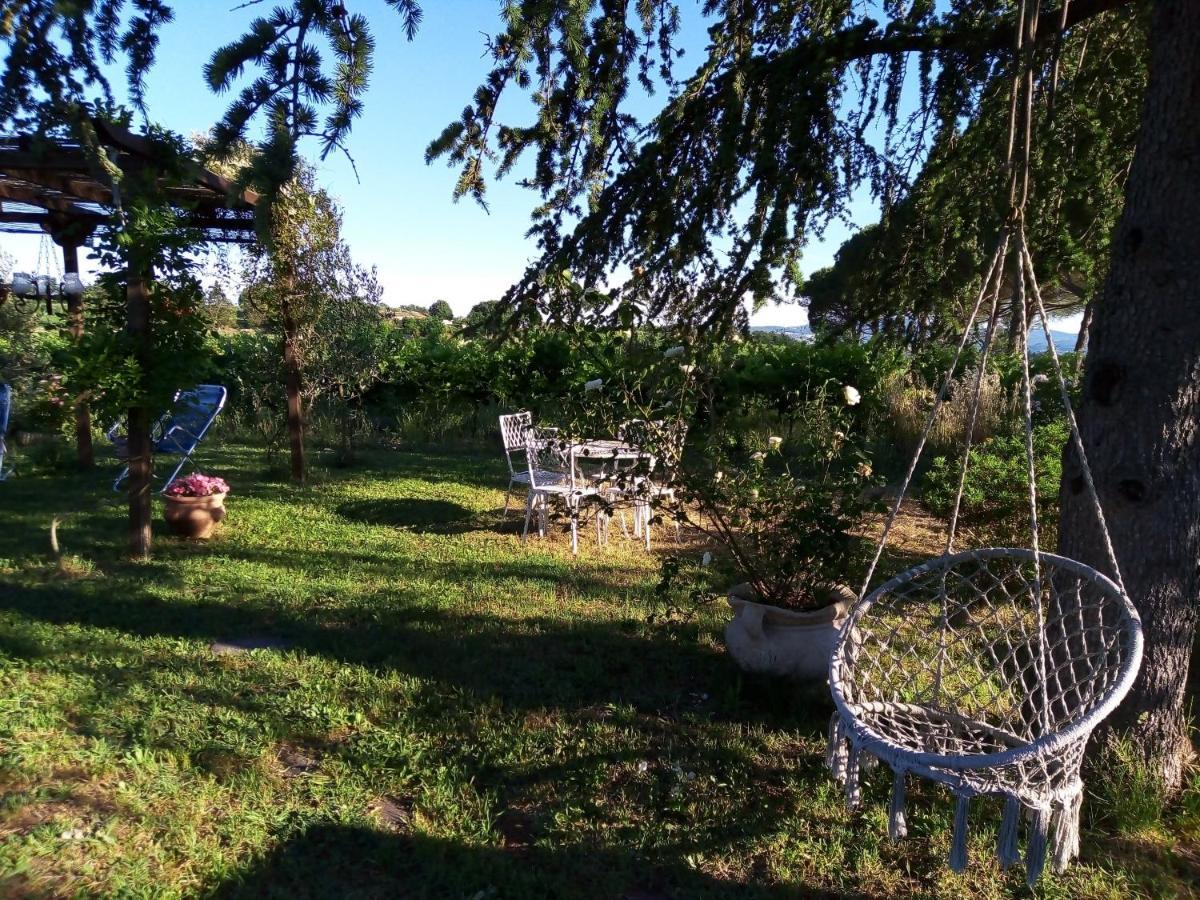 B&B La Gallinella Rossa Baschi Esterno foto