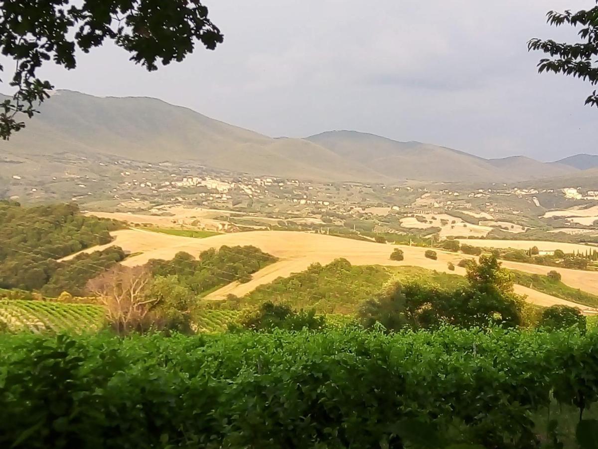 B&B La Gallinella Rossa Baschi Esterno foto