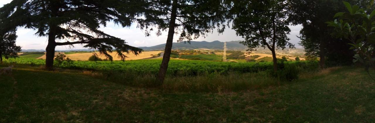 B&B La Gallinella Rossa Baschi Esterno foto