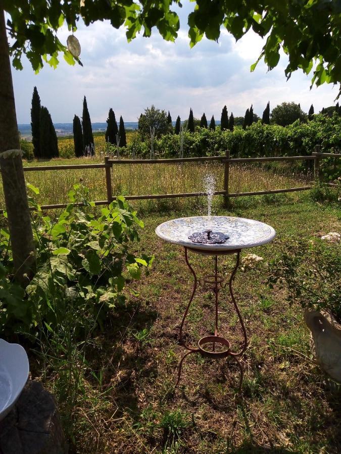 B&B La Gallinella Rossa Baschi Esterno foto