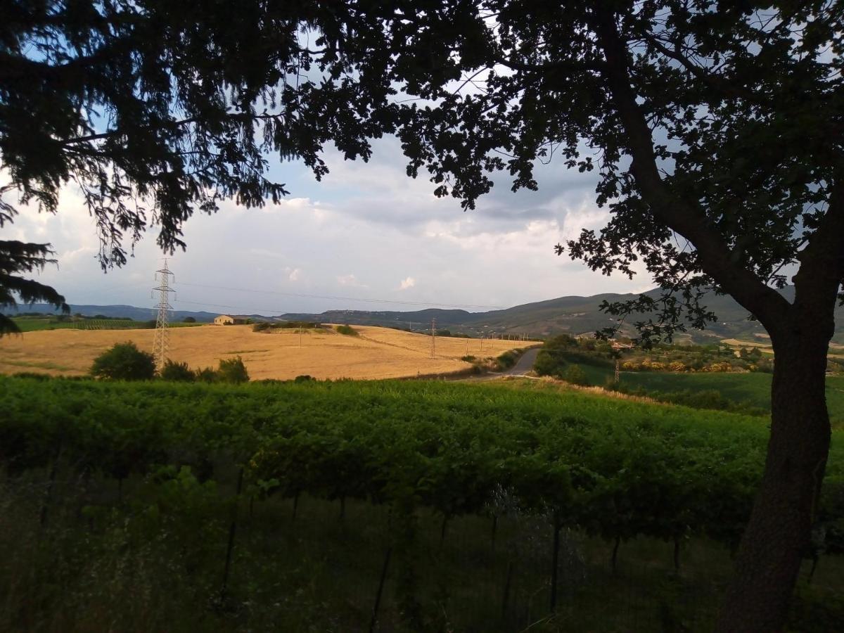 B&B La Gallinella Rossa Baschi Esterno foto