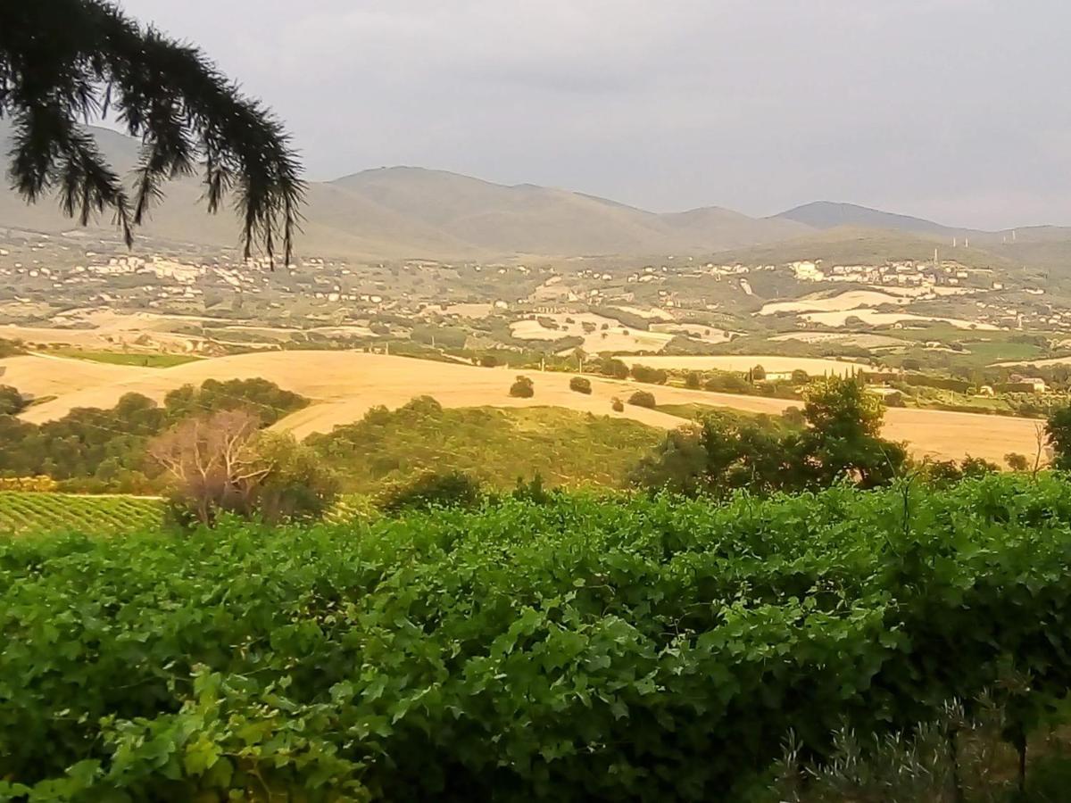 B&B La Gallinella Rossa Baschi Esterno foto