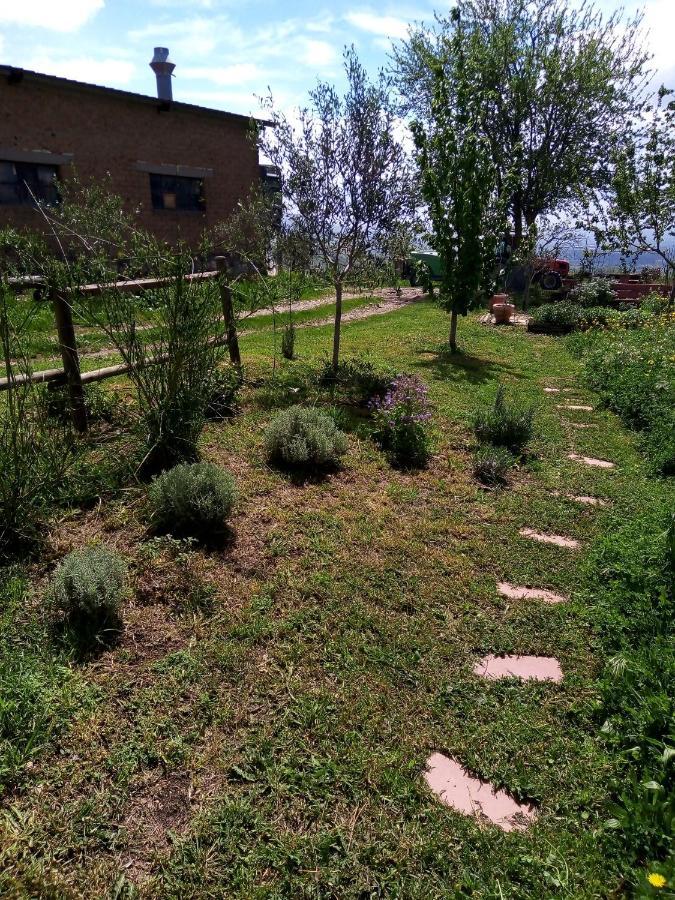 B&B La Gallinella Rossa Baschi Esterno foto