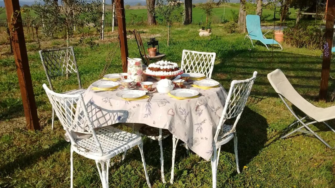 B&B La Gallinella Rossa Baschi Esterno foto