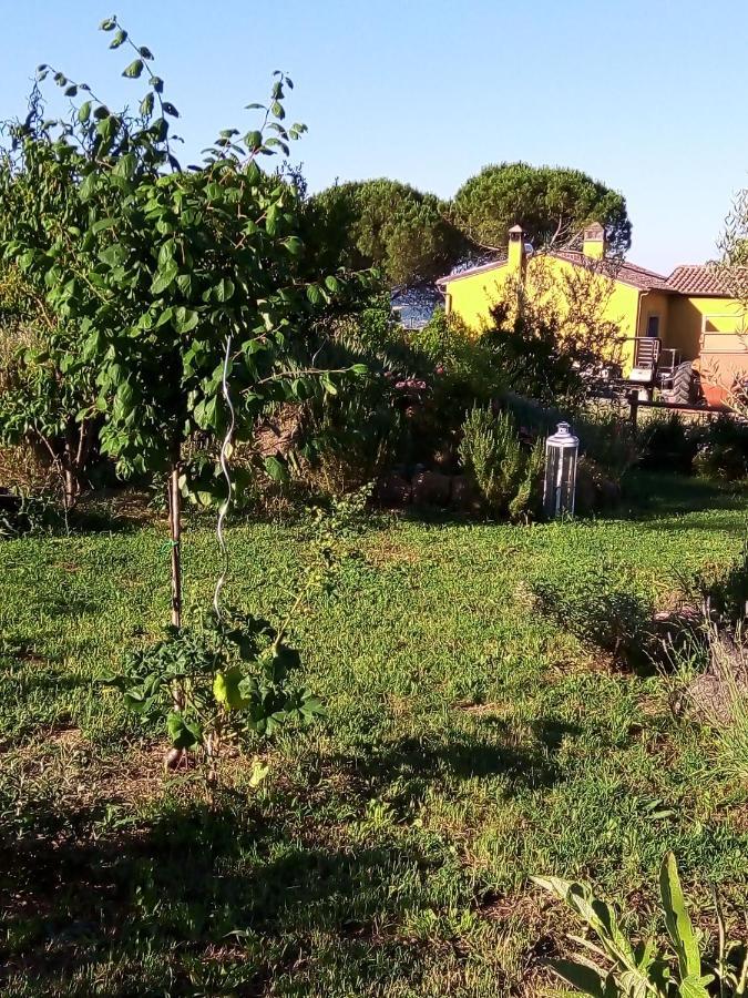 B&B La Gallinella Rossa Baschi Esterno foto