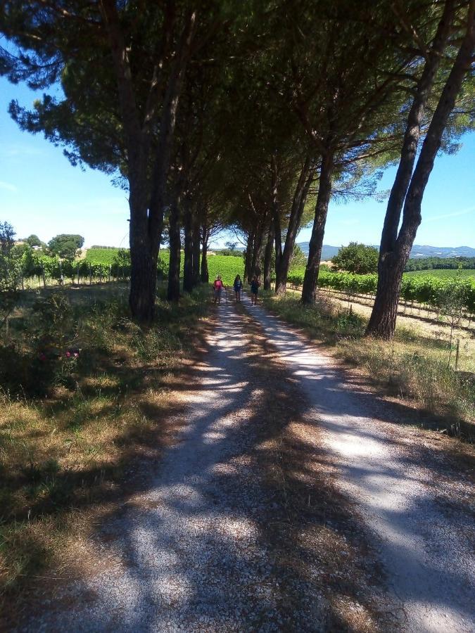 B&B La Gallinella Rossa Baschi Esterno foto