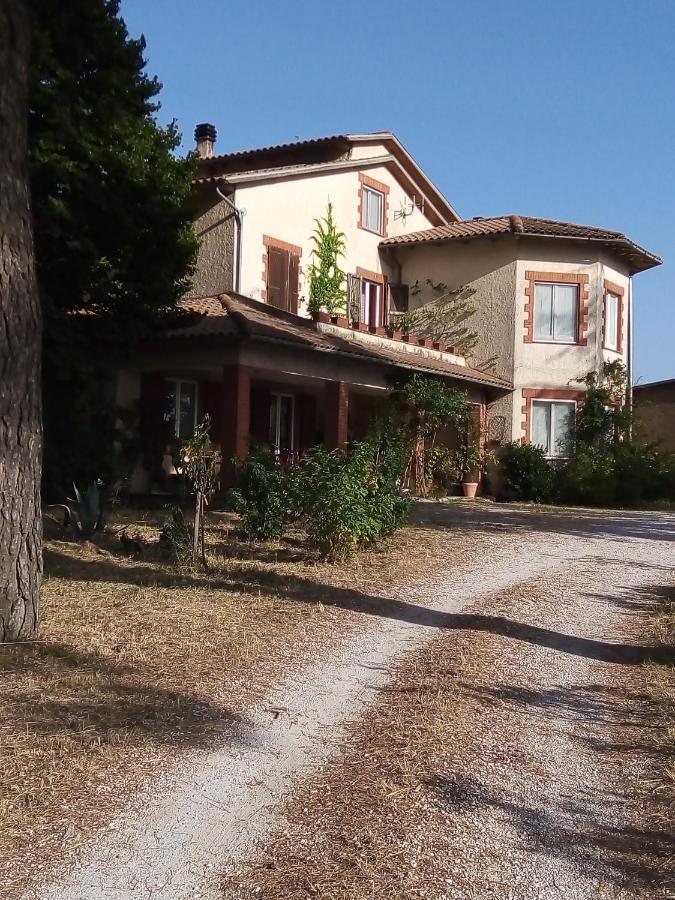 B&B La Gallinella Rossa Baschi Esterno foto