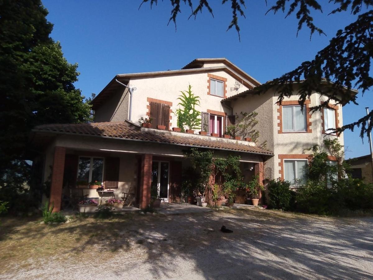 B&B La Gallinella Rossa Baschi Esterno foto